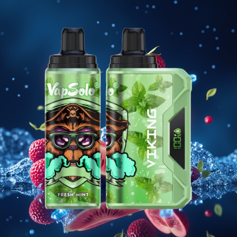 VapSolo VIKING 12000 Puffs 22ml Ühekordne Vape Värske Münt Type-C Laadimine