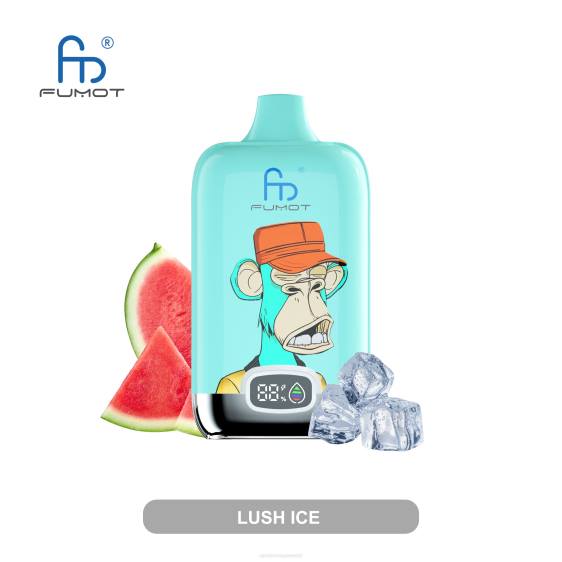 Fumot Original RandM Digital Box 12000 aku ja vedeliku kuvariga vape seade 2X4T10 tornado vape flavours jääpopp